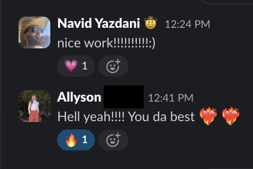 Allyson — client result